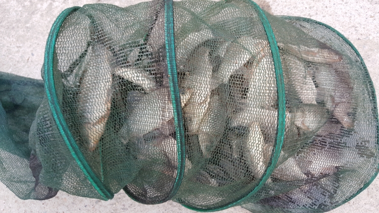 item_59207_1482553791.jpg