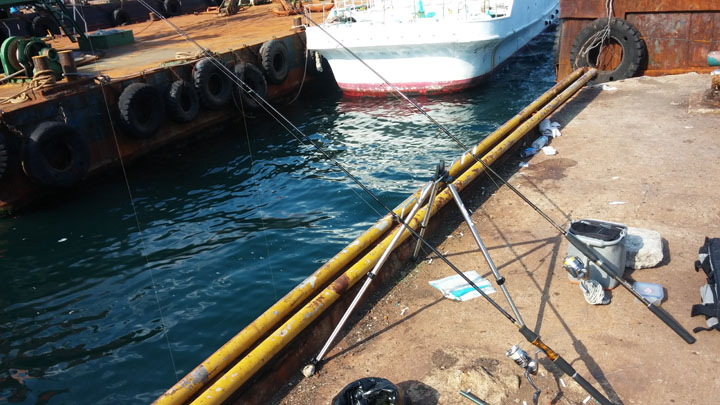 20140913_153602.jpg