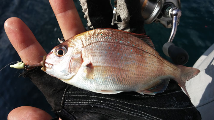 20140913_155154.jpg