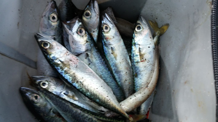 20140913_174425.jpg