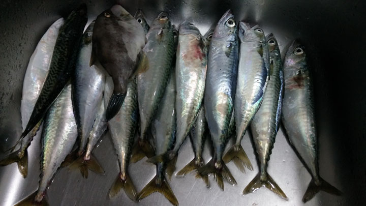 20140913_190326.jpg